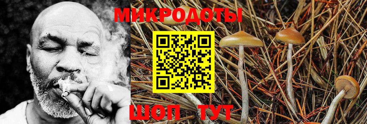 Евпатория  как найти закладки  Вход с VPN  Галлюциногенные грибы Psilocybe 